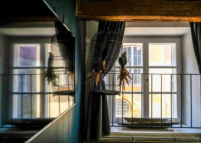 Apartman Blacksmith Old Town